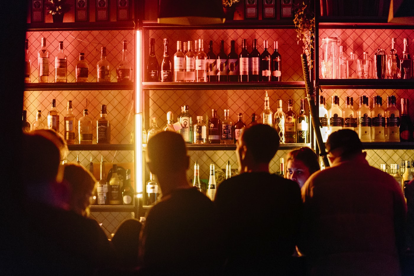 Back bar, after dark